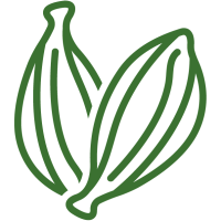 MAIN ICON-01